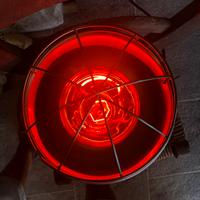 Lampada scalda animali