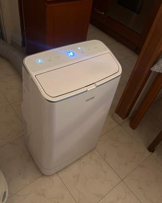 Condizionatore portatile