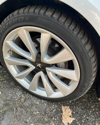 Cerchi 19 Sport Tesla