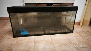 acquario 250 lt
