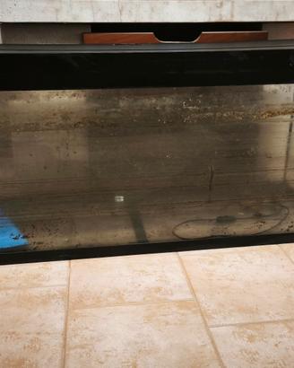 acquario 250 lt