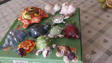 tartarughe  da collezione