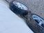 Immagine 3