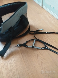 Pettorina,guinzaglio e borsa per cuccioli