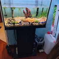 acquario 72 litri più accessori