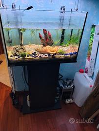 acquario 72 litri più accessori e mobile