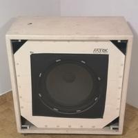 subwoofer 300watt