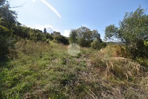 TER. AGRICOLO A AGROPOLI