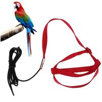 pettorina per pappagallo 