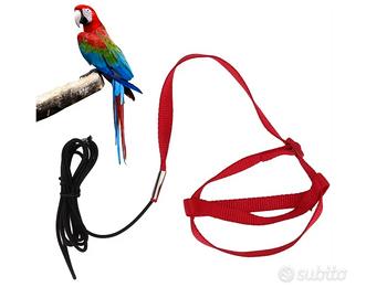 pettorina per pappagallo 