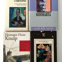 4 libri di Herman Hesse