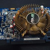 Schede video ASUS-NVIDIA