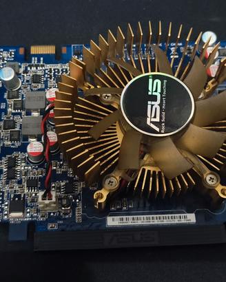Schede video ASUS-NVIDIA