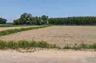 RGE 489/2022 Trib Pavia - LOTTO 4