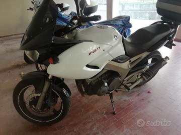 Yamaha TDM 900 del 2003