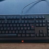tastiera Razer Cynosa Lite