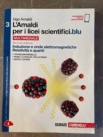 Amaldi per i licei scientifici.blu 3
