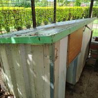 CUCCIA PER CANE GROSSA TAGLIA