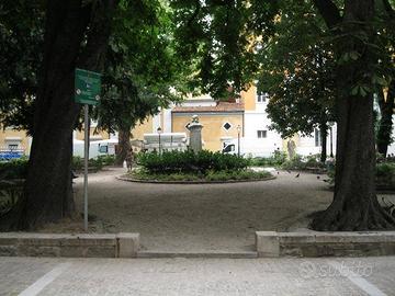 Appartamento con terrazza - Cavana