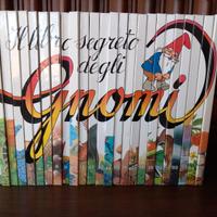 Il libro segreto degli gnomi (collana completa)