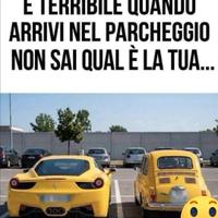 noleggio con conducente