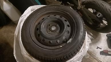 Gomme Invernali 2 mesi di vita