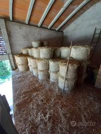 Ballette piccole di fieno