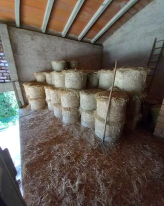 Ballette piccole di fieno