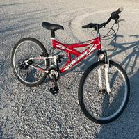 Bicicletta  Vicini Zero9 Absorberk