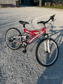 Bicicletta  Vicini Zero9 Absorberk