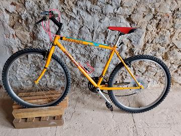 bicicletta specialized hard rock mtb