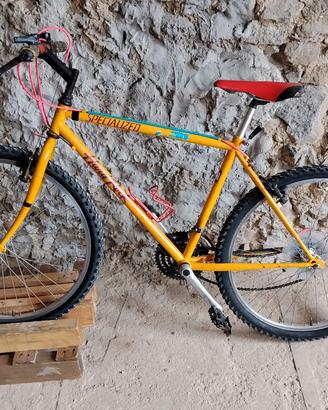 bicicletta specialized hard rock mtb