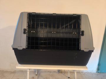 Kennel auto Bracco 90 cane taglia media 