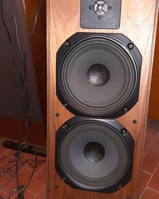 CASSE ACUSTICHE MOURDANT SHORT MS25Ti