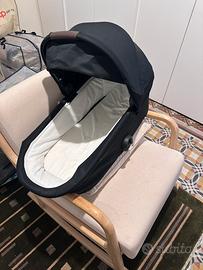 Navicella cybex melio