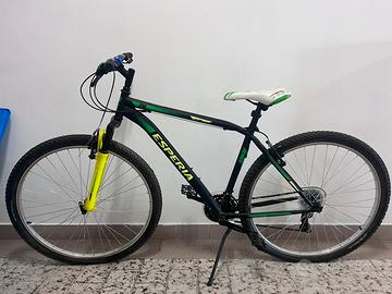 bici verde