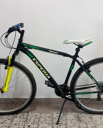 bici verde