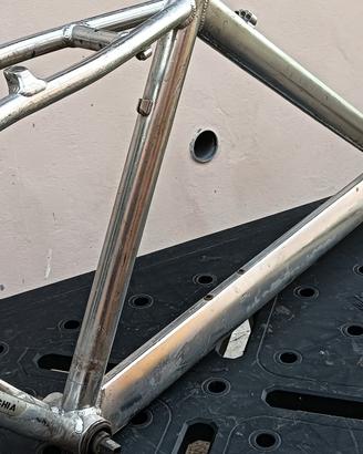 Telaio bici Bottecchia 
