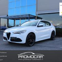 ALFA ROMEO Stelvio 2.2 TURBODIESEL 210 CV AT8 Q4