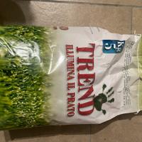 Semi per prato inglese