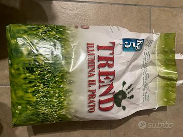 Semi per prato inglese