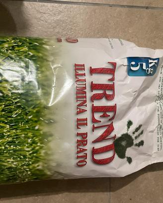 Semi per prato inglese