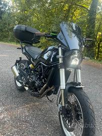 Benelli leoncino 500 trail