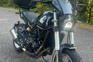 Benelli leoncino 500 trail