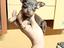Immagine 2