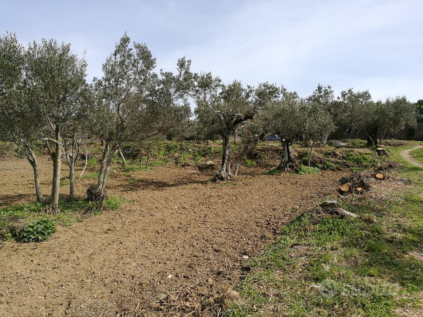 Terreno Agricolo - Vista 2