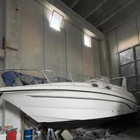 chaparral Signature 300