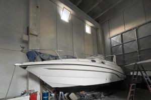 chaparral Signature 300