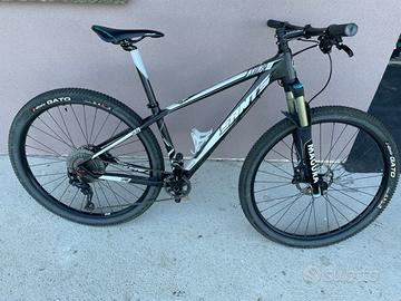 Mtb SANTS SM 29 carbon