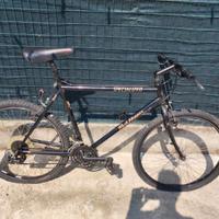 Bicicletta Specialized Rock Hopper Vintage